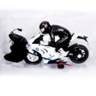 Babuniya Police Moto RC