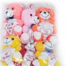 Mini Teddy Bear Soft Toy Set of 12 (Multi-Color)