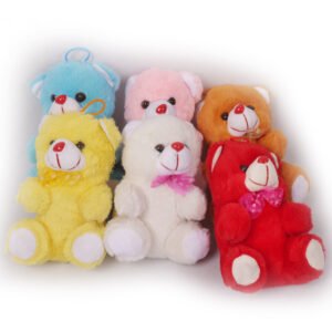 Pack Of 6 Mixed Color Cute Teddy Bears with love wish in hands