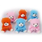 Pack Of 6 Mixed Color Cute Teddy Bears with love wish in hands.2